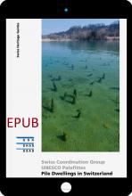 Pile Dwellings in Switzerland EPUB